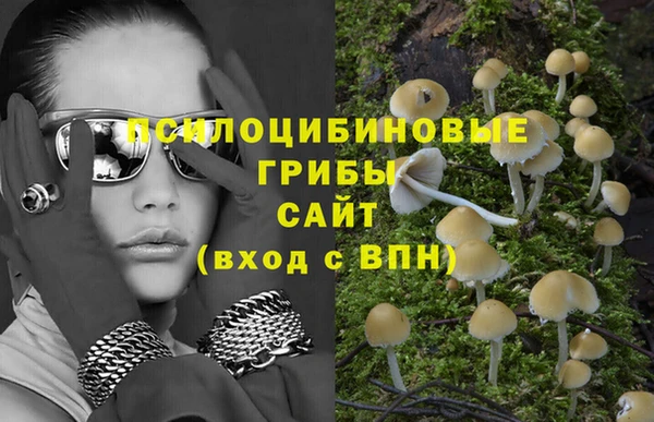 ALPHA-PVP Богородск