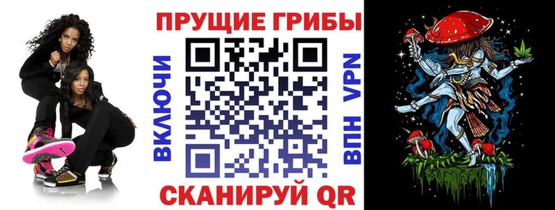 где можно купить   Краснокамск  Галлюциногенные грибы мицелий 